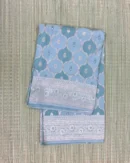 Sky Blue and Turquoise Green Rangkaat Pattern Pure Katan Saree
